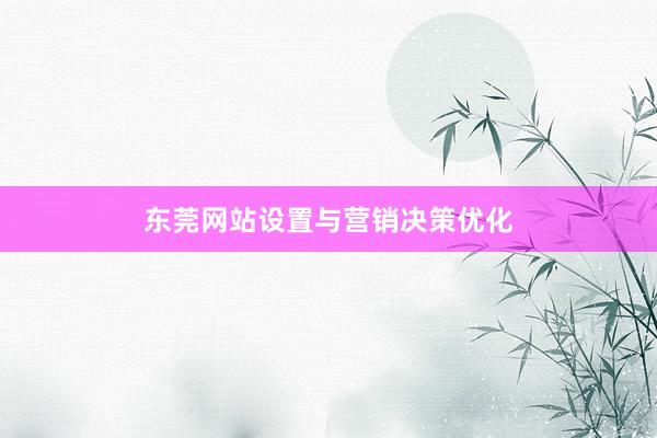 东莞网站设置与营销决策优化